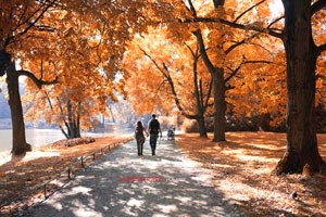 2025乐鱼体育在线登录皇马宣布伊斯科将缺席下一场比赛，主帅齐达内急需调整战术