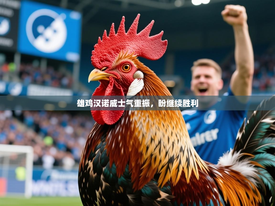 2025乐鱼体育官网登录入口雄鸡汉诺威士气重振,盼继续胜利